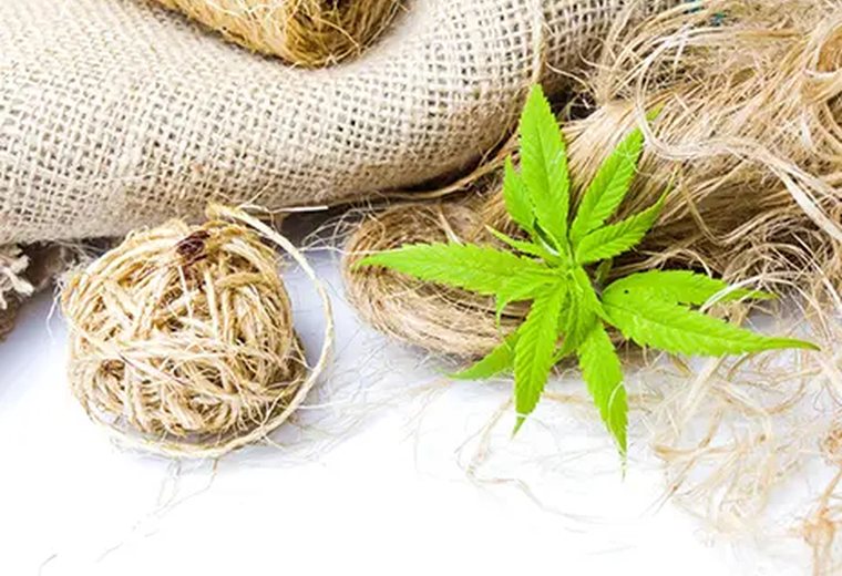 Hemp fiber